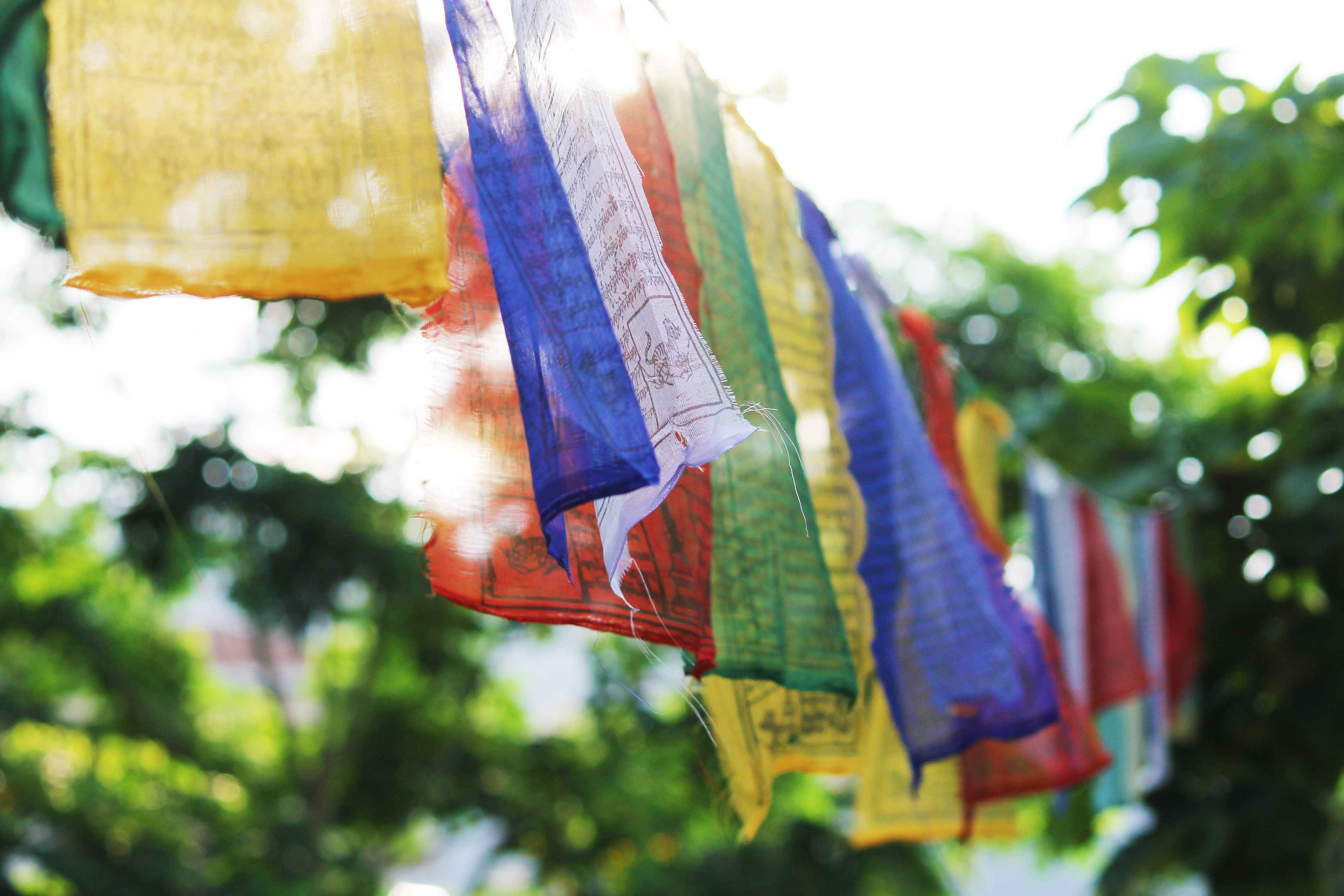 A Budget-Friendly Adventure Through Bhutan